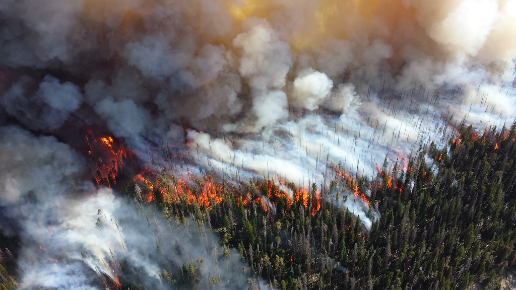 Forest fires, like the pictured 2013 Alder Fire on the southern end of Yellowstone National Park, will become more frequent in future as temperatures soar higher due to global warming. Image courtesy of NPS Climate Change Response