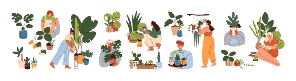 drawings of women tending variety of houseplants