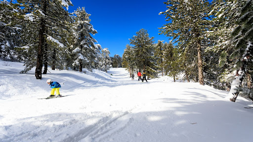 Skiing on Mount Olympus in the Troodos Mountains, Cyprus